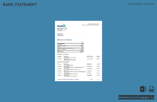 USA Bluebird Kontoauszug (Word-Format, 3 Seiten), Beispielvorschau